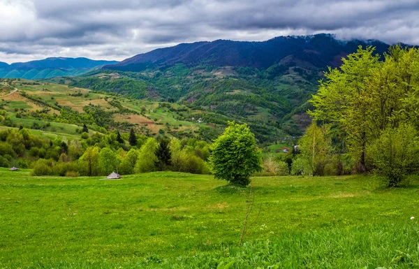 Rural area in Carpathian valley — Stock Photo, Image