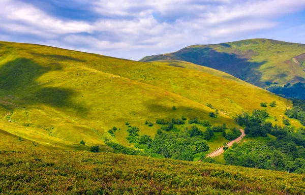 çimenli tepe yaz aylarında dağ üzerinde