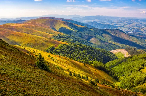 Karpaten im Sommer — Stockfoto