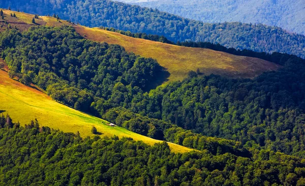 Ladera cubierta de hierba en la montaña en verano — Foto de Stock