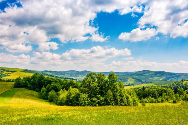 Letní krajina v horách venkov — Stock fotografie