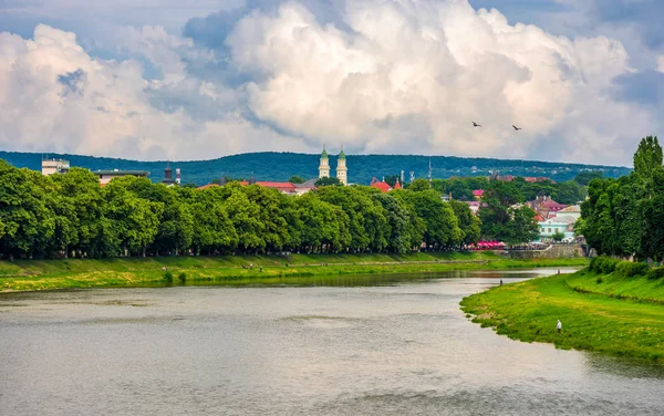 La plus longue allée de tilleul d'Europe à Uzhgorod — Photo