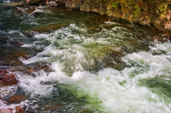 Rapid stream with rocky shore — Stock Photo, Image