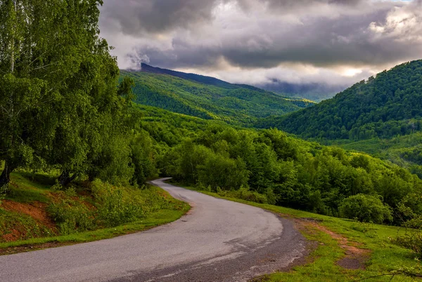 Strada di campagna in montagna all'alba nuvolosa — Foto Stock