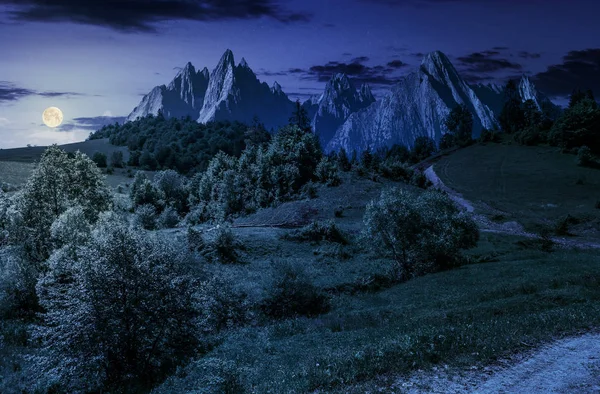 夜のタトラの草で覆われた丘の中腹に森林 — ストック写真