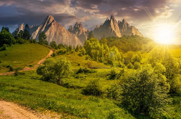 gün batımında tatras çimenli yamaca orman