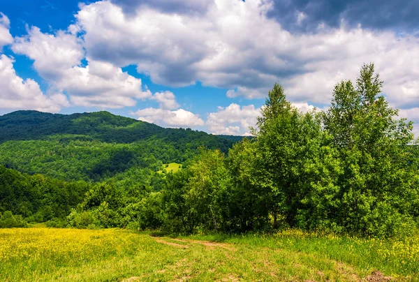 Landsväg genom landsbygdens fält i bergen sommar landskap — Stockfoto