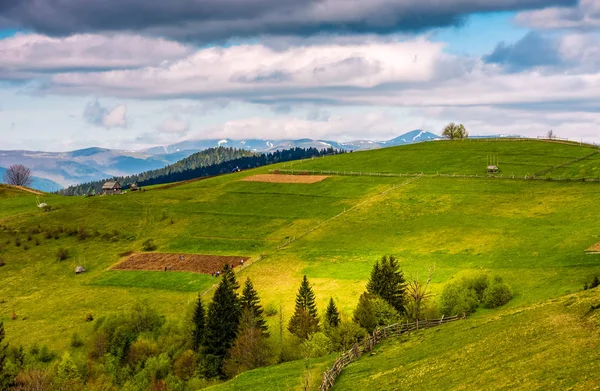 Houten hek op de heuvel in landelijk gebied van de Karpaten — Stockfoto