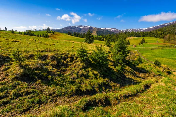 karlı Karpatlar ilkbahar başında