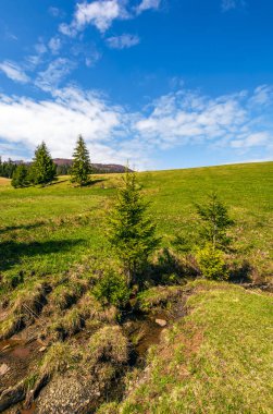 Akış yamaca orman arasında