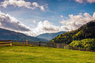 dağlar otsu çayır çiti