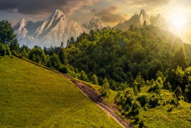 patika orman batımında yamaca aracılığıyla