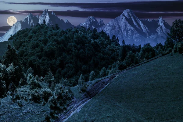 Sentier à travers la forêt à flanc de colline la nuit — Photo