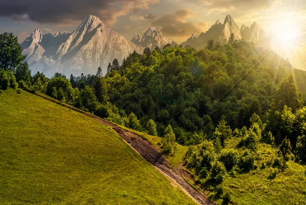 patika orman batımında yamaca aracılığıyla