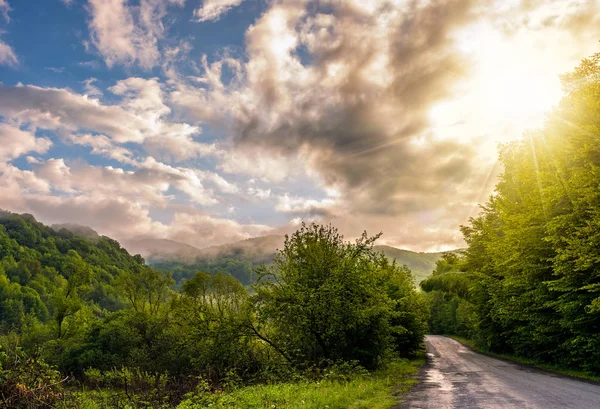Countryside road through the forest in valley — Stock Photo, Image