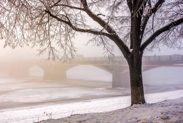 Nebliger Morgen nahe der Brücke durch den zugefrorenen Fluss — Stockfoto