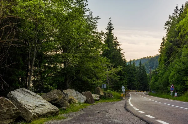 Straße durch den Wald in den Bergen — Stockfoto