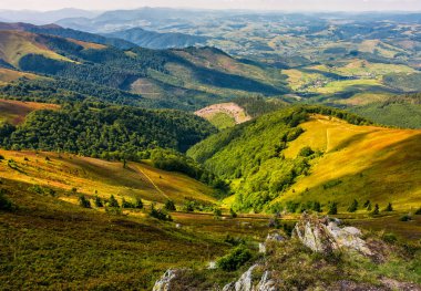 Yaz aylarında Karpat Dağları'nda kayalar ile çayır