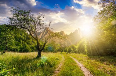 yolda terk edilmiş meyve bahçesinde günbatımı, dağlar