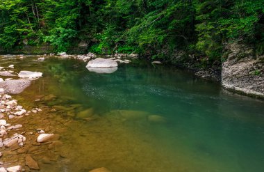 kayalık sahil ile derin yeşil orman nehir