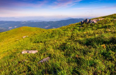 Hillside yaz aylarında Karpat Dağları'nda kayalar ile