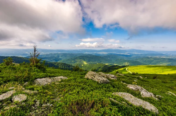 Karpat yüksek dağ sırtı epik peyzaj
