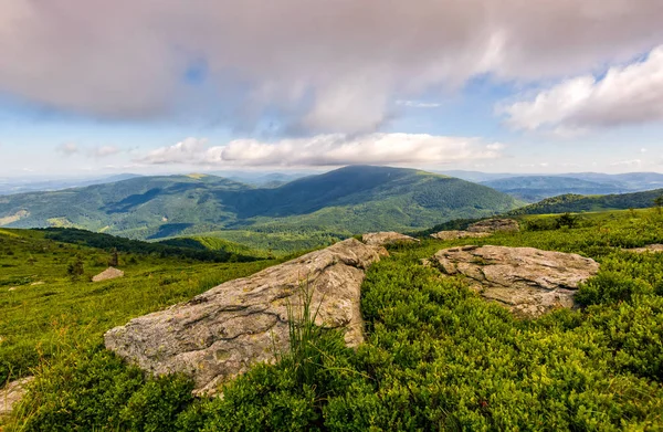 çimenli hillside Karpat Dağları'nın buzlu