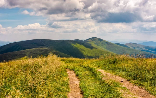 Dağlardaki güzel yaz manzarası