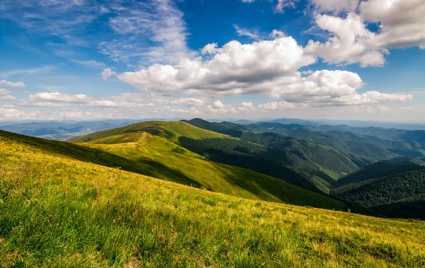 dağ sırtı yamaca otsu çayır