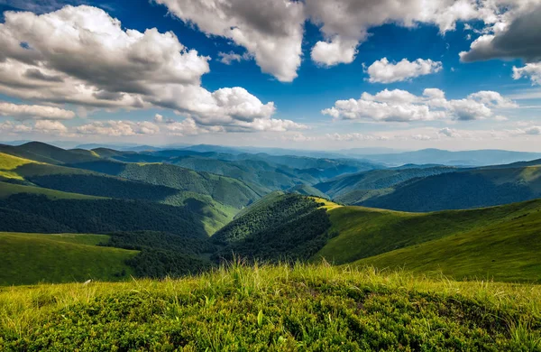 dağ Hillside çayır