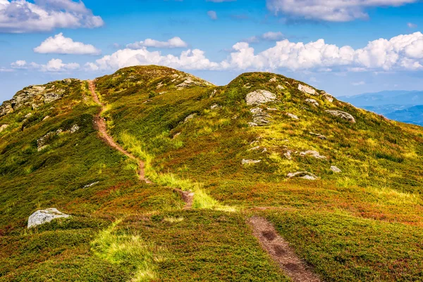 patika bir çayır on dağ sırtı ile