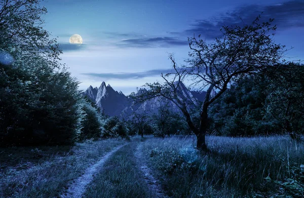 Camino a través del huerto abandonado en las montañas por la noche — Foto de Stock