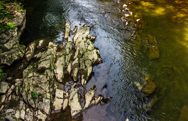 Orman Nehri'nin renkli yüzey