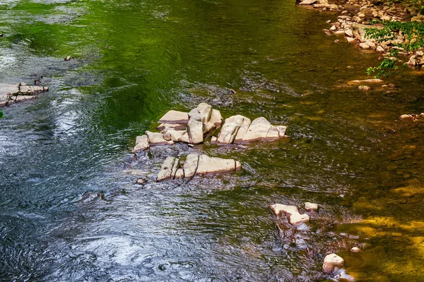 Красочная поверхность лесной реки — стоковое фото