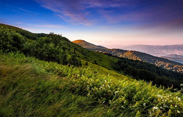 Prato erboso su una collina a bella alba rossastra — Foto Stock