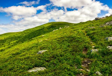 patika dağ sırtı ile
