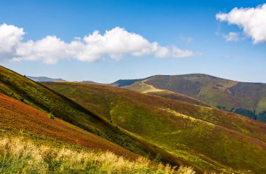 Karpat dağ silsilesi içinde yaz