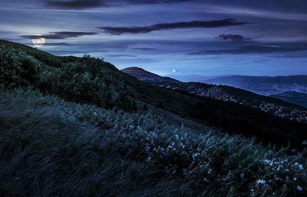 Grassy meadow on a hillside at midnight — Stock Photo, Image