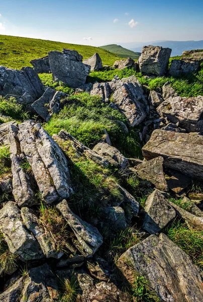 Yaz aylarında Karpat Dağları'nda kayalar ile çayır