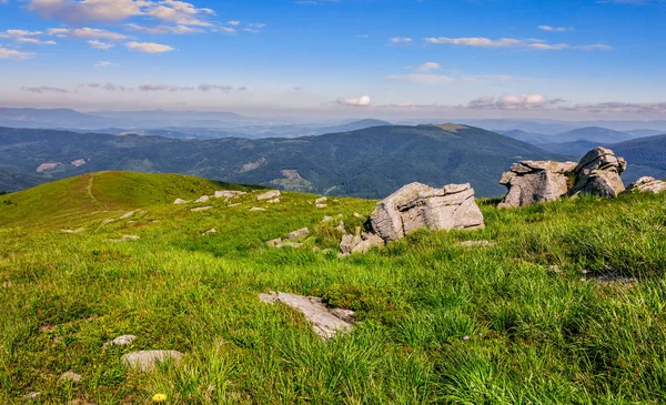 Louka s balvany v Karpatských horách v létě — Stock fotografie