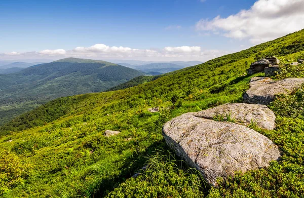 Meadow with boulders in Carpathian mountains in summer — Stock Photo, Image