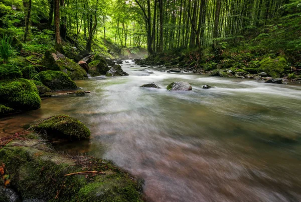 Быстрый поток в зеленом лесу — стоковое фото