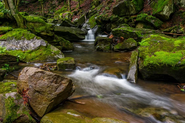 Silné vrzání s cascade v zeleném lese — Stock fotografie