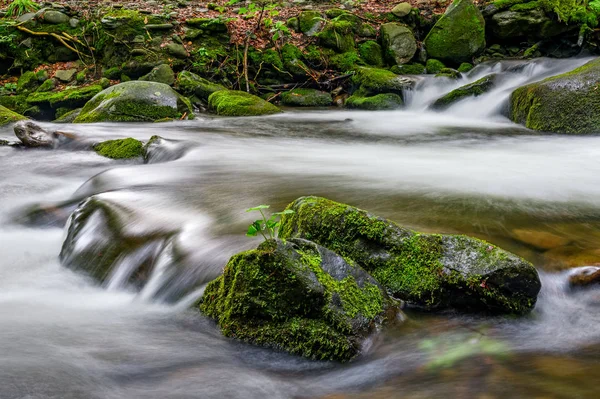 Na potůčku s kameny v lese v kaskádě — Stock fotografie