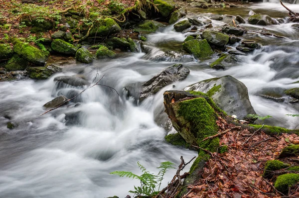 Na potůčku s kameny v lese v kaskádě — Stock fotografie