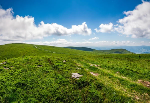 yüksek Dağları'nda yamaç yolundan