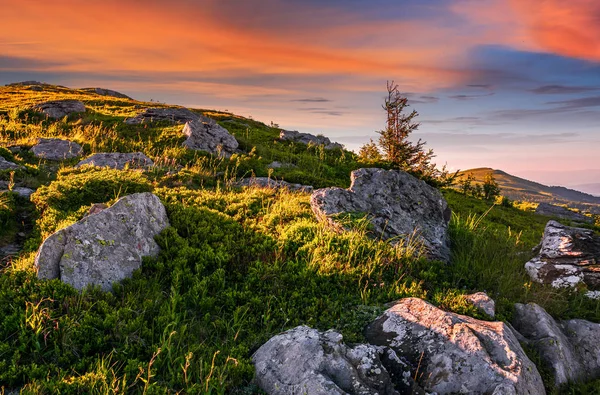 Episka landskap i Karpaterna hög bergsrygg — Stockfoto