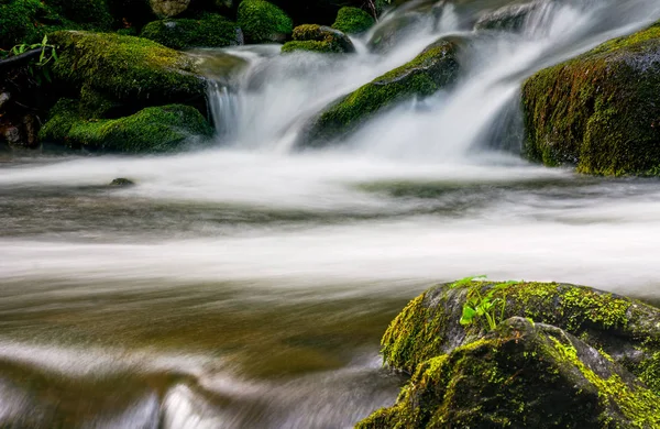 Na potůčku s kameny v lese v kaskádě — Stock fotografie