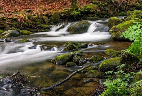 güçlü gıcırtısı ile cascade yeşil orman 