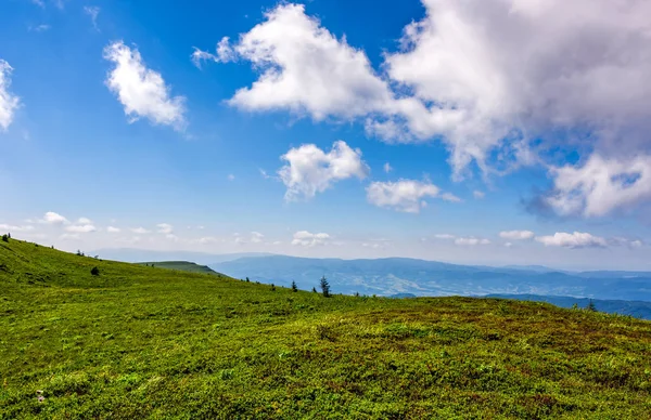 Çimenli tepe yaz aylarında dağ üzerinde — Stok fotoğraf